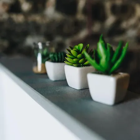 Punto Zero Apartman *